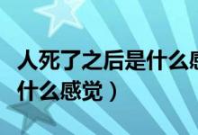 人死了之后是什么感觉的视频（人死了之后是什么感觉）