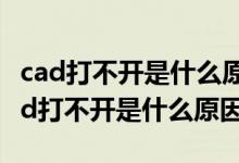 cad打不开是什么原因要进CAD里面打开（cad打不开是什么原因）