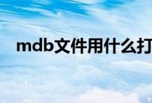 mdb文件用什么打开（mdb用什么打开）