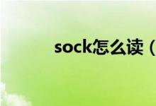 sock怎么读（sweater怎么读）