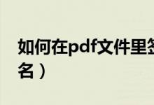 如何在pdf文件里签名（怎么在pdf文件上签名）