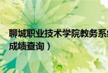 聊城职业技术学院教务系统查成绩（聊城职业技术学院期末成绩查询）