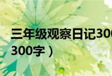 三年级观察日记300字仓鼠（三年级观察日记300字）