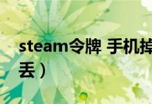 steam令牌 手机掉了（steam手机令牌手机丢）