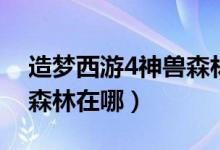 造梦西游4神兽森林怎么打（造梦西游4神兽森林在哪）