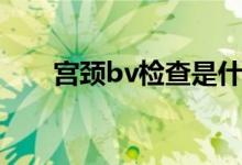 宫颈bv检查是什么（bv检查是什么）