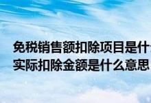 免税销售额扣除项目是什么意思（免税销售额扣除项目本期实际扣除金额是什么意思）