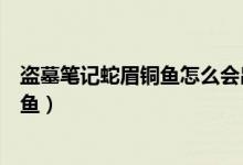 盗墓笔记蛇眉铜鱼怎么会出现在拍卖会的（盗墓笔记蛇眉铜鱼）