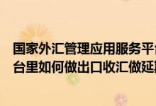 国家外汇管理应用服务平台（在国家外汇管理局应用服务平台里如何做出口收汇做延期收款报告 _）