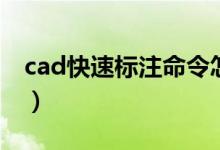 cad快速标注命令怎么用（cad快速标注命令）