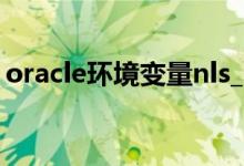 oracle环境变量nls_lang（oracle环境变量）