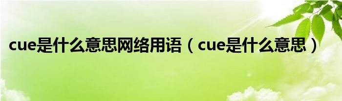 cue是什么意思网络用语（cue是什么意思）