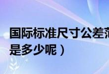 国际标准尺寸公差范围（游泳池国际标准尺寸是多少呢）