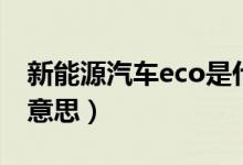 新能源汽车eco是什么意思（汽车Eco是什么意思）