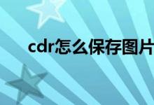 cdr怎么保存图片格式（cdr怎么保存）