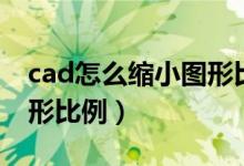 cad怎么缩小图形比例尺寸（cad怎么缩小图形比例）