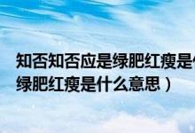 知否知否应是绿肥红瘦是什么意思的短视频（知否知否应是绿肥红瘦是什么意思）