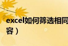 excel如何筛选相同的内容（excel筛选相同内容）