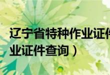 辽宁省特种作业证件查询网站（辽宁省特种作业证件查询）