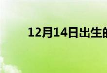 12月14日出生的明星（12月14日）