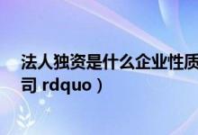 法人独资是什么企业性质（什么是 ldquo 法人独资有限公司 rdquo）