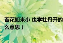 苔花如米小 也学牡丹开的寓意（苔花如米小也学牡丹开是什么意思）