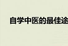 自学中医的最佳途径（自学中医的步骤）