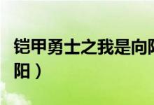 铠甲勇士之我是向阳他姐（铠甲勇士之我是向阳）