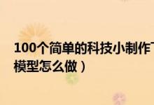 100个简单的科技小制作飞机模型（科技小制作简单的飞机模型怎么做）