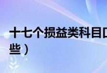 十七个损益类科目口诀（共同类会计科目有哪些）