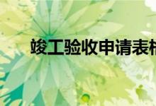 竣工验收申请表格（竣工验收申请表）