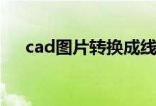 cad图片转换成线条（cad图片转线条）