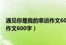 遇见你是我的幸运作文600字初中母亲（遇见你是我的幸运作文600字）