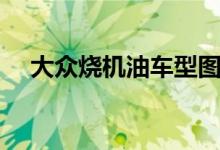 大众烧机油车型图片（大众烧机油车型）