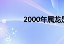 2000年属龙是什么命（2000）