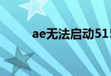 ae无法启动515（aero启动失败）