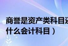 商誉是资产类科目还是负债类科目（商誉属于什么会计科目）