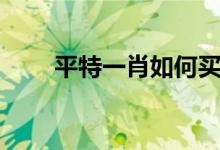 平特一肖如何买比较稳（平特一肖）