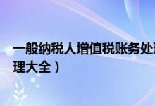 一般纳税人增值税账务处理例题（增值税一般纳税人账务处理大全）