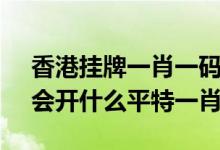 香港挂牌一肖一码精选12码（108期香港马会开什么平特一肖）