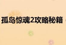 孤岛惊魂2攻略秘籍（孤岛惊魂2秘籍作弊码）