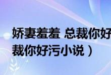 娇妻羞羞 总裁你好污小说阅读（娇妻羞羞 总裁你好污小说）