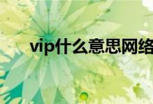 vip什么意思网络用语（vip什么意思）