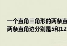 一个直角三角形的两条直角边的比是1:2（一个直角三角形两条直角边分别是5和12）