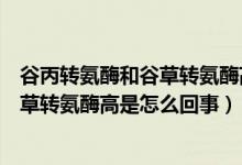 谷丙转氨酶和谷草转氨酶高是怎么回事儿（谷丙转氨酶和谷草转氨酶高是怎么回事）