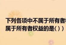 下列各项中不属于所有者权益的是资本溢价（下列各项中不属于所有者权益的是( )）