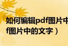 如何编辑pdf图片中的文字内容（如何编辑pdf图片中的文字）