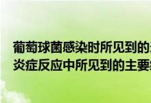 葡萄球菌感染时所见到的炎细胞主要是（在葡萄球菌感染的炎症反应中所见到的主要细胞是）