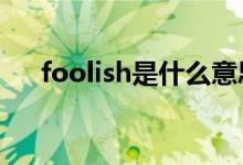 foolish是什么意思（fool是什么意思）