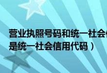 营业执照号码和统一社会信用代码一样吗（营业执照注册号是统一社会信用代码）